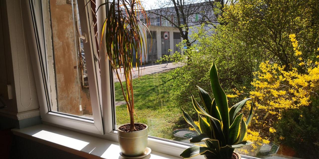 Kambariu Nuoma Kaune - Kaunas Exteriör bild
